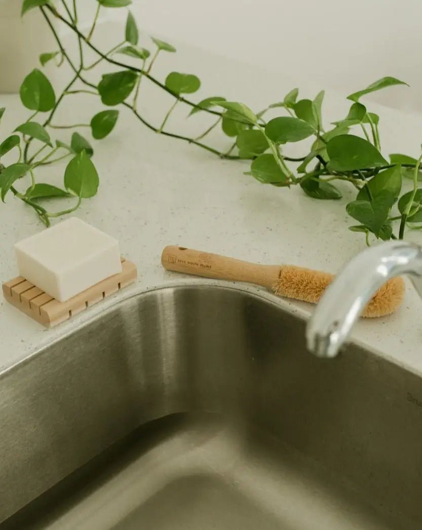 An eco-friendly wooden brush positioned alongside a plant, highlighting its bamboo handle and coconut husk bristles.