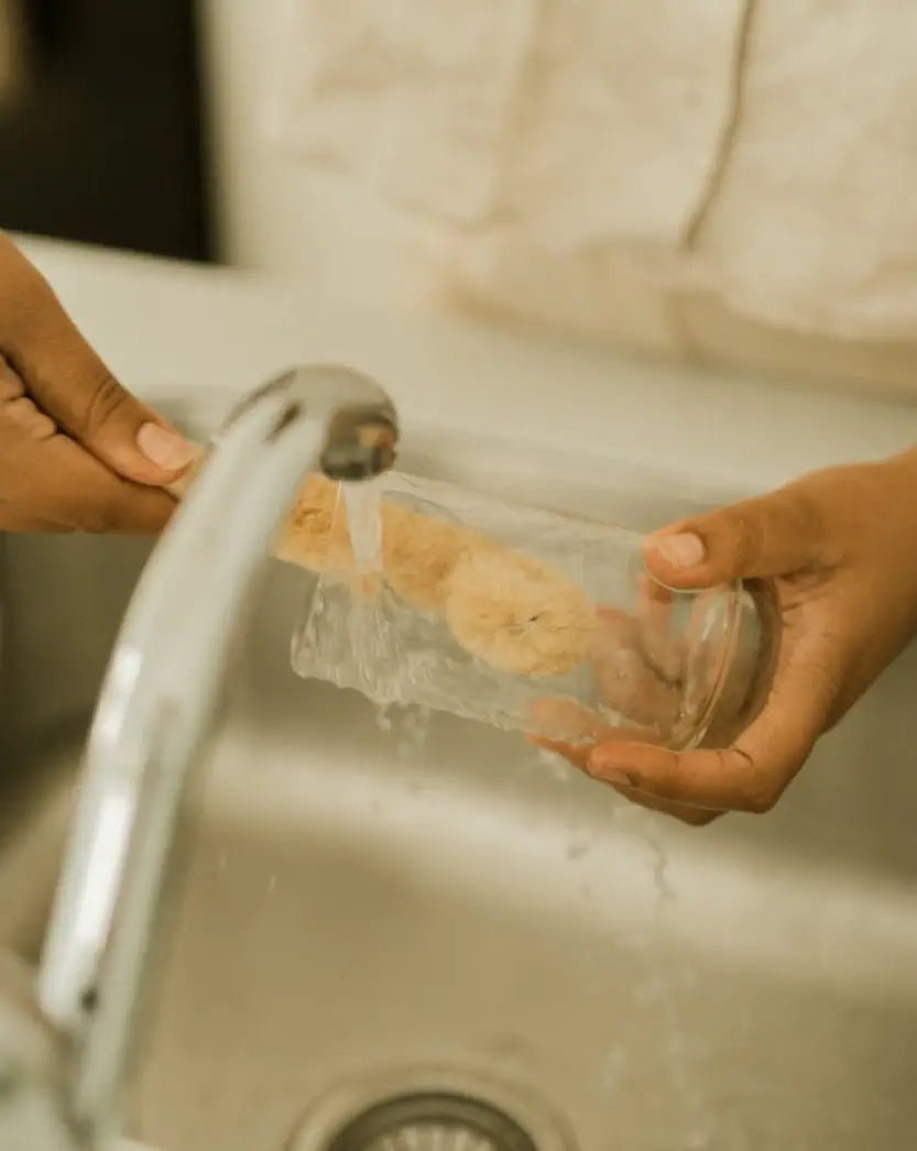 An eco-friendly wooden brush positioned alongside a person cleaning a glass cup,highlighting its bamboo handle and coconut husk bristles.