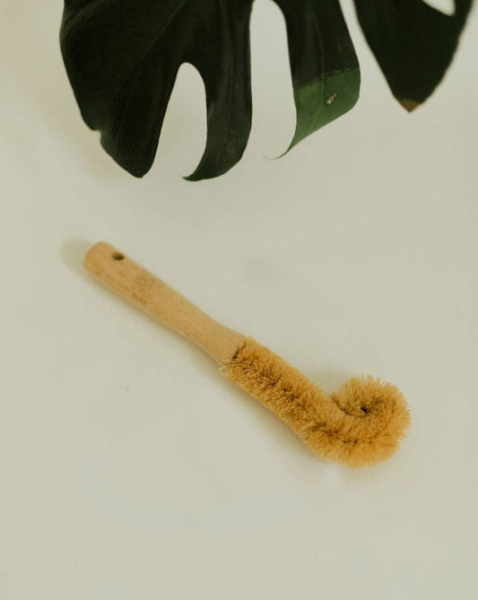 A plant accompanied by a wooden brush, featuring a sustainable bamboo handle and bristles made from coconut husk.