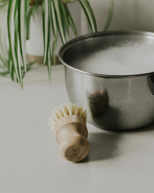 Eco-friendly pot brush and soap on counter next to pot.