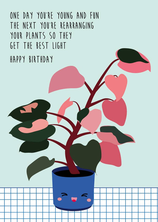 Plant young and fun Postcard - The GV Collective