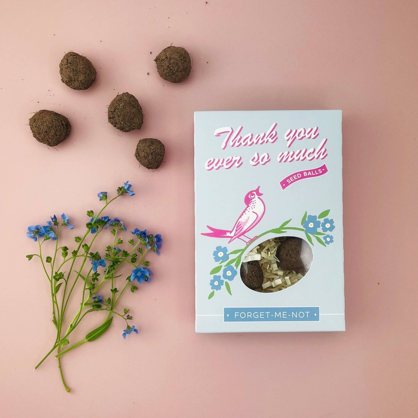 Thank You So Much Forget-Me-Not Garden Seed Ball Gift Box - The Good Vibez Collective